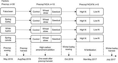 Precrop Functional Group Identity Affects Yield of Winter Barley but Less so High Carbon Amendments in a Mesocosm Experiment